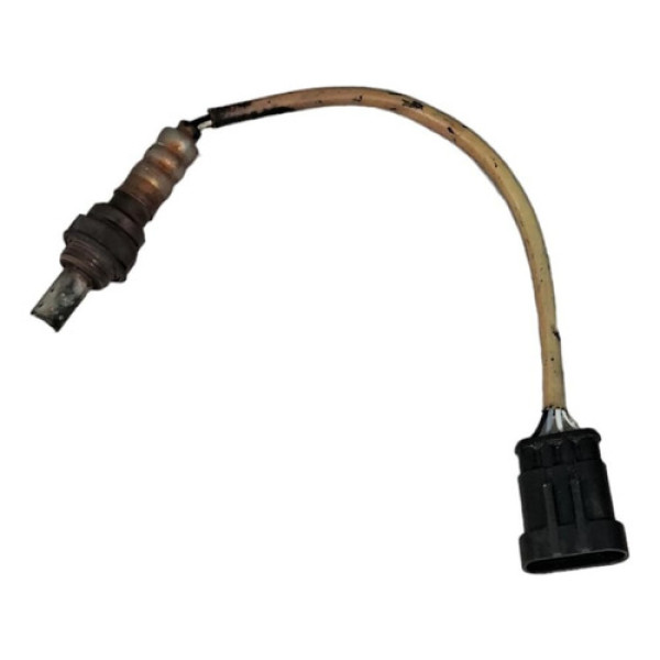 Sonda Lambda - Pre Palio 2005