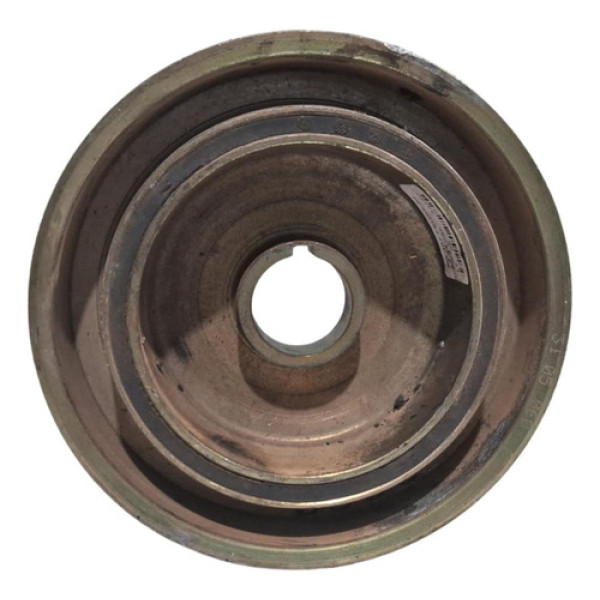 Polia Inferior Virabrequim Peugeot 307 2005 