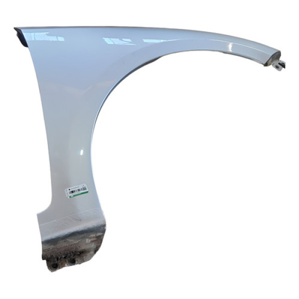 Paralama Lado Direito/esquerdo Hb20 2013 A 2019 Direito